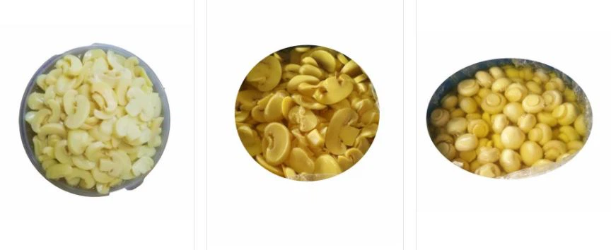 Salted Mushroom Salted Mushroom