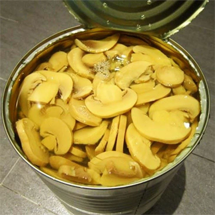 Mushroom In Tins (2)