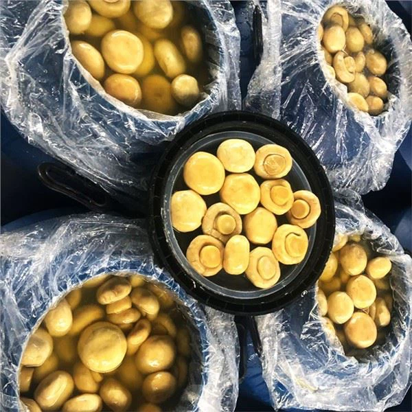 Açılmış mantarları salamurada nasıl saklamalıyım?