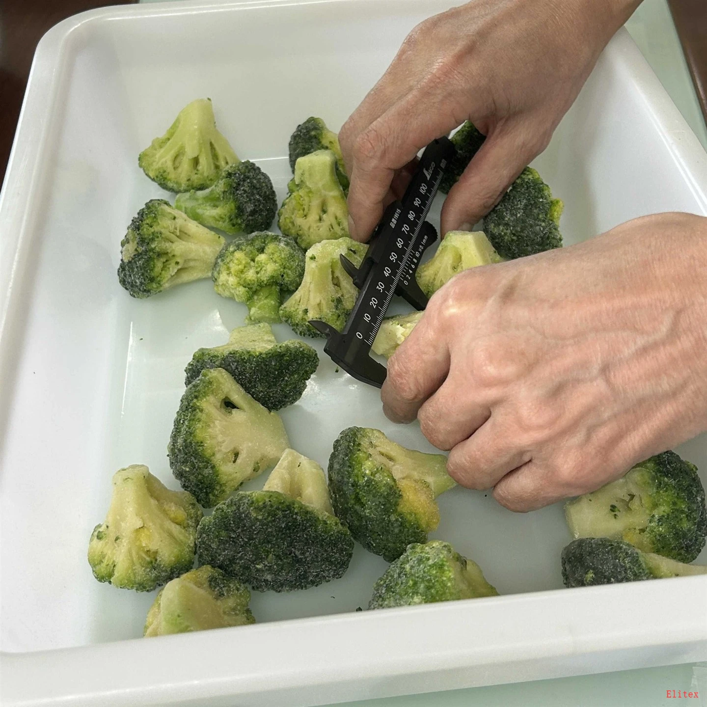 Premium IQF Broccoli For Wholesale factory